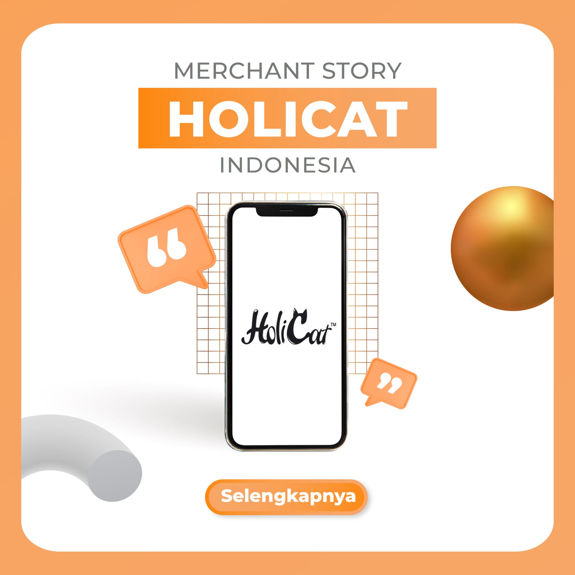 Holicat