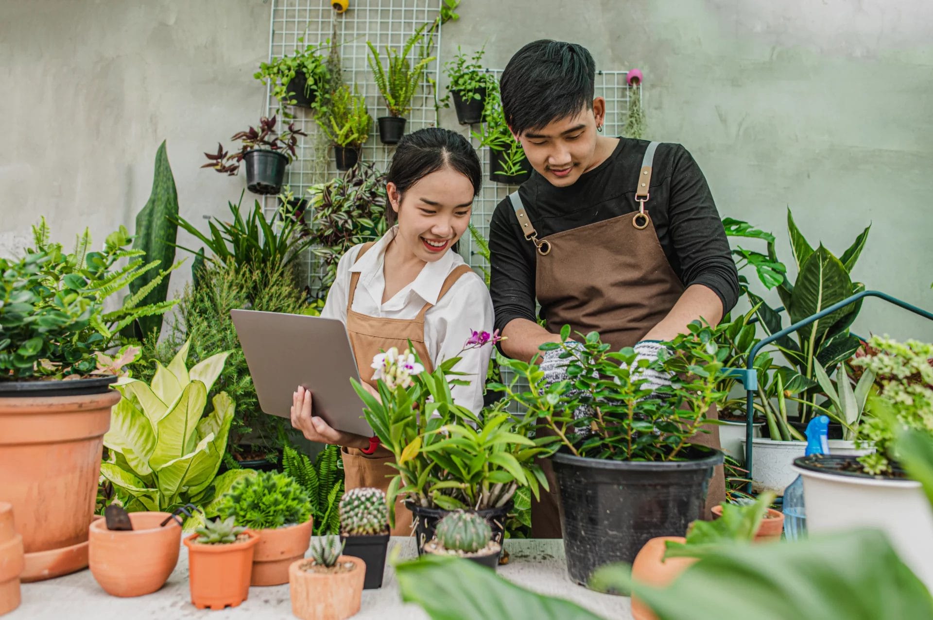 happily-asian-young-gardener-couple-wearing-apron-use-garden-equipment-laptop-computer-take-care